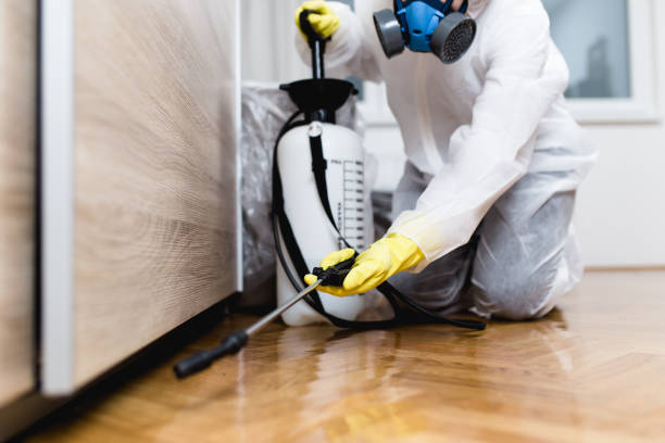 Best Best Pest Control Companies  in Whitley City, KY