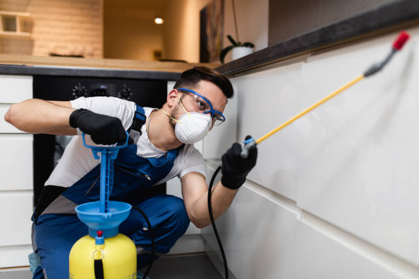 Best Emergency Pest Control  in Whitley City, KY