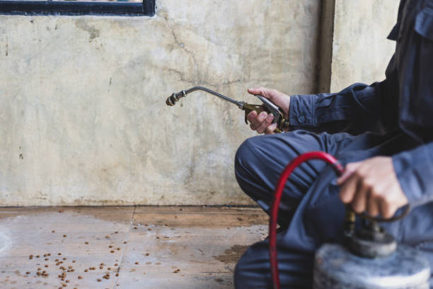 Best Pest Control for Homes  in Whitley City, KY